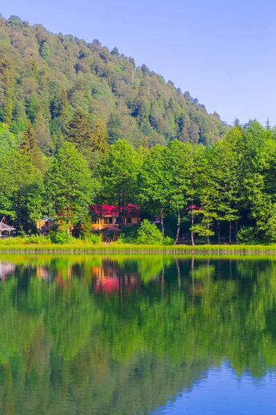Borcka Karagol (Karadeniz) Artvin, Türkiye 'nin kuzeydoğusunda Karadeniz' den yaklaşık 30 km içeride yer alan bir şehirdir. Dağlarında inanılmaz platolar ve küçük kraterler bulunur..