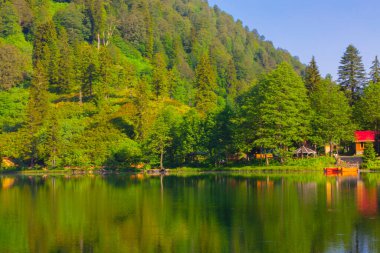 Borcka Karagol (Karadeniz) Artvin, Türkiye 'nin kuzeydoğusunda Karadeniz' den yaklaşık 30 km içeride yer alan bir şehirdir. Dağlarında inanılmaz platolar ve küçük kraterler bulunur..