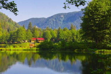 Borcka Karagol (Karadeniz) Artvin, Türkiye 'nin kuzeydoğusunda Karadeniz' den yaklaşık 30 km içeride yer alan bir şehirdir. Dağlarında inanılmaz platolar ve küçük kraterler bulunur..