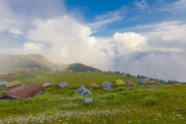 Camlihemsin 'de Rize' de Sal Platosu, Karadeniz 'de Sal Dağlık Bölgesi ve Türkiye