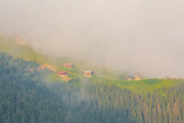 Camlihemsin 'de Rize' de Sal Platosu, Karadeniz 'de Sal Dağlık Bölgesi ve Türkiye