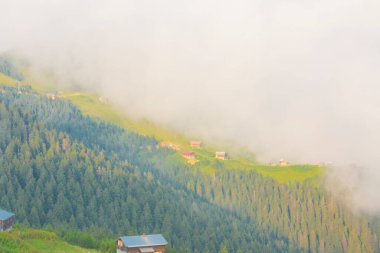 Camlihemsin 'de Rize' de Sal Platosu, Karadeniz 'de Sal Dağlık Bölgesi ve Türkiye