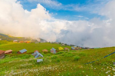 Camlihemsin 'de Rize' de Sal Platosu, Karadeniz 'de Sal Dağlık Bölgesi ve Türkiye