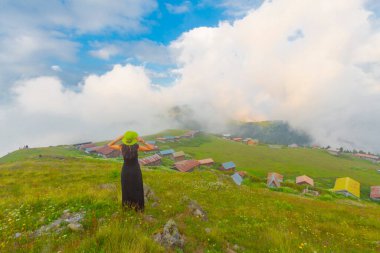 Camlihemsin 'de Rize' de Sal Platosu, Karadeniz 'de Sal Dağlık Bölgesi ve Türkiye