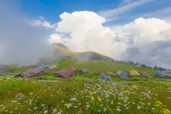 Sal Plateau Rize Camlihemsin Sal Highland Morzu Czarnym Turcji — Zdjęcie stockowe