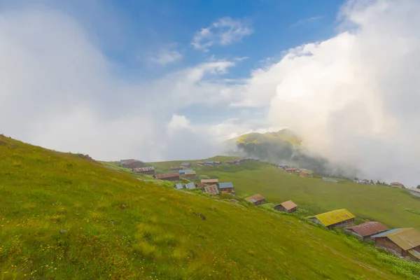 Camlihemsin 'de Rize' de Sal Platosu, Karadeniz 'de Sal Dağlık Bölgesi ve Türkiye