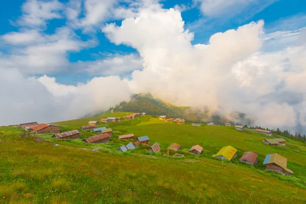 Sal Plateau Rize Camlihemsin Sal Highland Black Sea Turkey — 스톡 사진