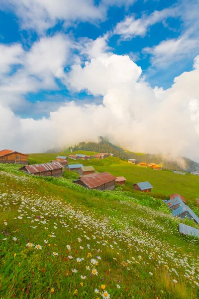 Sal Plateau Rize Camlihemsin Sal Highland Black Sea Turkey — Stock Photo, Image