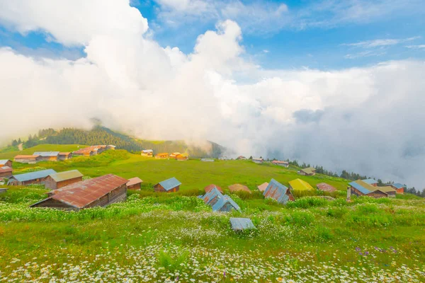 Camlihemsin 'de Rize' de Sal Platosu, Karadeniz 'de Sal Dağlık Bölgesi ve Türkiye