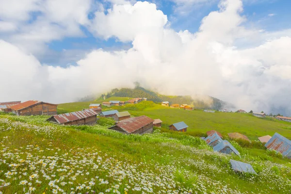 Camlihemsin 'de Rize' de Sal Platosu, Karadeniz 'de Sal Dağlık Bölgesi ve Türkiye
