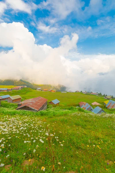 Sal Plateau Rize Camlihemsin Sal Highland Black Sea Turkey — Stock Photo, Image