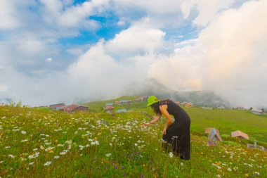 Camlihemsin 'de Rize' de Sal Platosu, Karadeniz 'de Sal Dağlık Bölgesi ve Türkiye