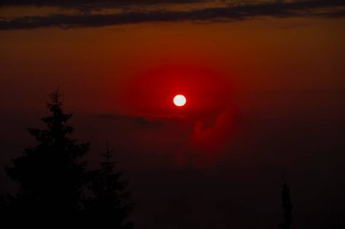 Camlihemsin 'deki Ayder Platosu. Güneş doğarken panoramik tahta kiraz manzarası. Hindi yolculuğu. Ayder Platosu 'nun 1350 metre yüksekliğindeki ahşap dağ evleri ile geniş bir çayır alanı vardır. Rize, Türkiye