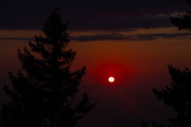 Camlihemsin 'deki Ayder Platosu. Güneş doğarken panoramik tahta kiraz manzarası. Hindi yolculuğu. Ayder Platosu 'nun 1350 metre yüksekliğindeki ahşap dağ evleri ile geniş bir çayır alanı vardır. Rize, Türkiye