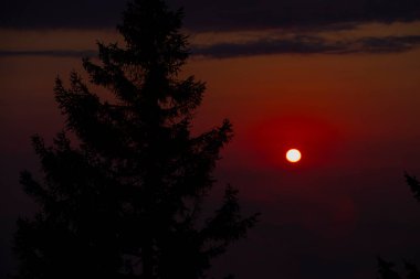 Camlihemsin 'deki Ayder Platosu. Güneş doğarken panoramik tahta kiraz manzarası. Hindi yolculuğu. Ayder Platosu 'nun 1350 metre yüksekliğindeki ahşap dağ evleri ile geniş bir çayır alanı vardır. Rize, Türkiye