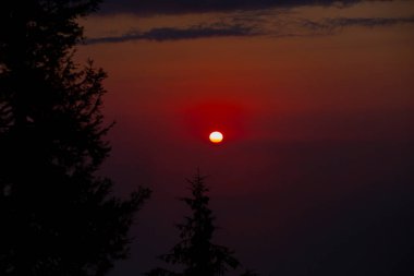 Camlihemsin 'deki Ayder Platosu. Güneş doğarken panoramik tahta kiraz manzarası. Hindi yolculuğu. Ayder Platosu 'nun 1350 metre yüksekliğindeki ahşap dağ evleri ile geniş bir çayır alanı vardır. Rize, Türkiye