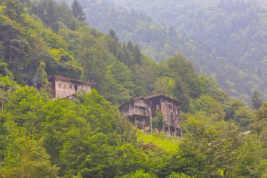 Camlihemsin 'deki Ayder Platosu. Güneş doğarken panoramik tahta kiraz manzarası. Hindi yolculuğu. Ayder Platosu 'nun 1350 metre yüksekliğindeki ahşap dağ evleri ile geniş bir çayır alanı vardır. Rize, Türkiye