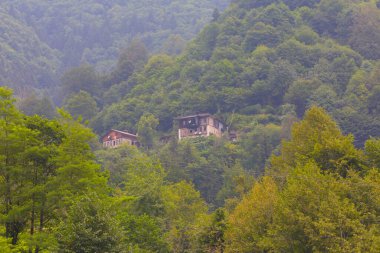 Camlihemsin 'deki Ayder Platosu. Güneş doğarken panoramik tahta kiraz manzarası. Hindi yolculuğu. Ayder Platosu 'nun 1350 metre yüksekliğindeki ahşap dağ evleri ile geniş bir çayır alanı vardır. Rize, Türkiye