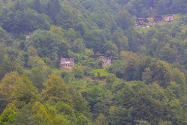 Camlihemsin 'deki Ayder Platosu. Güneş doğarken panoramik tahta kiraz manzarası. Hindi yolculuğu. Ayder Platosu 'nun 1350 metre yüksekliğindeki ahşap dağ evleri ile geniş bir çayır alanı vardır. Rize, Türkiye