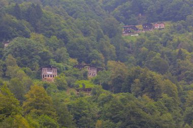 Camlihemsin 'deki Ayder Platosu. Güneş doğarken panoramik tahta kiraz manzarası. Hindi yolculuğu. Ayder Platosu 'nun 1350 metre yüksekliğindeki ahşap dağ evleri ile geniş bir çayır alanı vardır. Rize, Türkiye