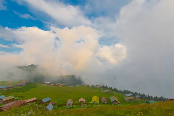 Sal Plateau Rize Camlihemsin Sal Highland Black Sea Turkey — Stock fotografie