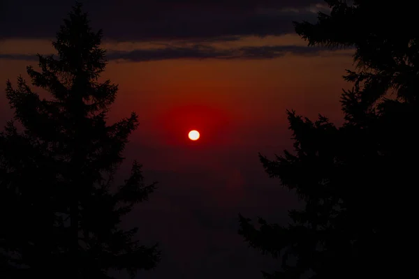 Ayder Plateau Camlihemsin Blick Auf Holzchalets Bei Sonnenaufgang Türkei Reisen — Stockfoto