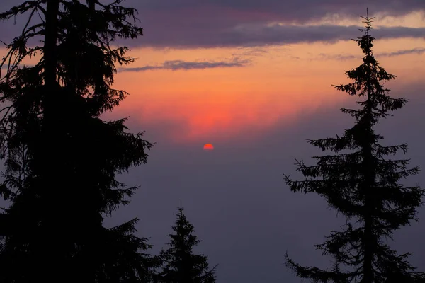 Ayder Plateau Camlihemsin Panoramic View Wooden Chalets Sunrise Turkey Travel — ストック写真