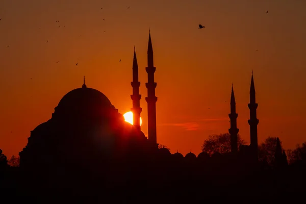 Zachód Słońca Stambule Turcja Meczetem Suleymaniye Osmański Meczet Cesarski Widok — Zdjęcie stockowe