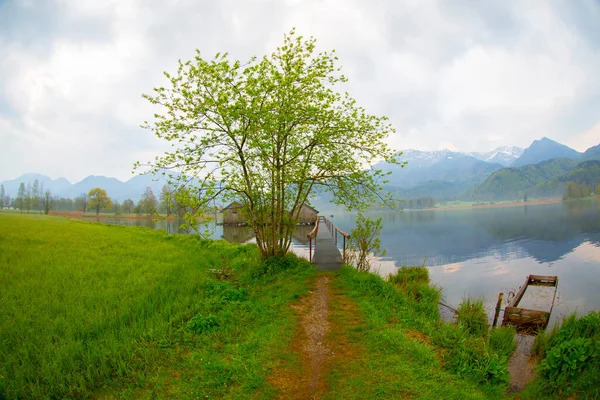 Красивое Озеро Кохельзе Kochel Lake Баварии Осенним Цветом Баварских Альпах — стоковое фото