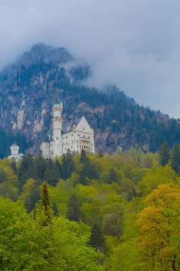 Dünyaca ünlü Neuschwanstein Kalesi 'nin güzel manzarası, 19. yüzyıl Romanesk Diriliş Sarayı Kral II. Ludwig için Almanya' nın güneybatı Bavyera, Fussen yakınlarındaki engebeli bir uçuruma inşa edildi..