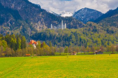 Dünyaca ünlü Neuschwanstein Kalesi 'nin güzel manzarası, 19. yüzyıl Romanesk Diriliş Sarayı Kral II. Ludwig için Almanya' nın güneybatı Bavyera, Fussen yakınlarındaki engebeli bir uçuruma inşa edildi..