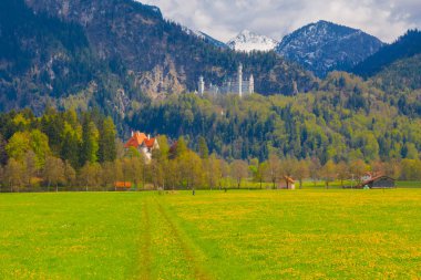Dünyaca ünlü Neuschwanstein Kalesi 'nin güzel manzarası, 19. yüzyıl Romanesk Diriliş Sarayı Kral II. Ludwig için Almanya' nın güneybatı Bavyera, Fussen yakınlarındaki engebeli bir uçuruma inşa edildi..