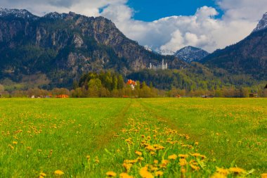 Dünyaca ünlü Neuschwanstein Kalesi 'nin güzel manzarası, 19. yüzyıl Romanesk Diriliş Sarayı Kral II. Ludwig için Almanya' nın güneybatı Bavyera, Fussen yakınlarındaki engebeli bir uçuruma inşa edildi..
