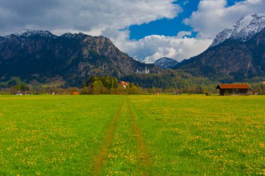 Dünyaca ünlü Neuschwanstein Kalesi 'nin güzel manzarası, 19. yüzyıl Romanesk Diriliş Sarayı Kral II. Ludwig için Almanya' nın güneybatı Bavyera, Fussen yakınlarındaki engebeli bir uçuruma inşa edildi..