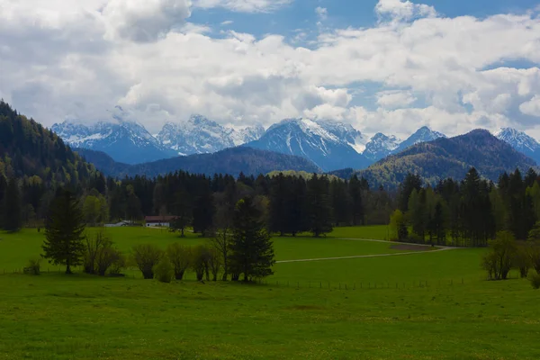 Bella Vista Del Famoso Castello Neuschwanstein Palazzo Romanico Ottocentesco Revival — Foto Stock