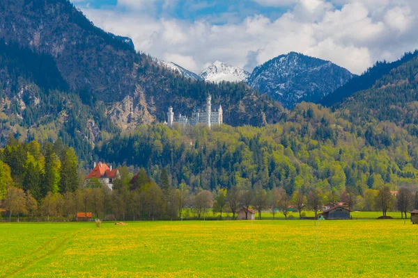 Vacker Utsikt Över Världsberömda Neuschwanstein Slott Det Nittonde Talet Romanska — Stockfoto