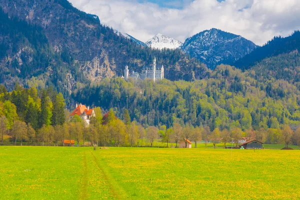 Vacker Utsikt Över Världsberömda Neuschwanstein Slott Det Nittonde Talet Romanska — Stockfoto