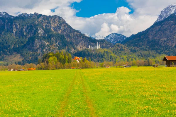 Vacker Utsikt Över Världsberömda Neuschwanstein Slott Det Nittonde Talet Romanska — Stockfoto