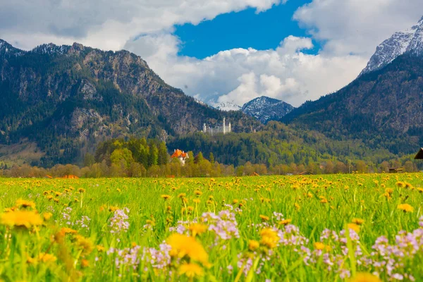 Vacker Utsikt Över Världsberömda Neuschwanstein Slott Det Nittonde Talet Romanska — Stockfoto