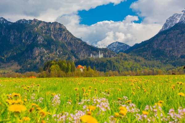 세계적으로 Neuschwanstein 아름다운 로마네스크 바이에른 남서부 근처의 울퉁불퉁 절벽에 루트비히 — 스톡 사진