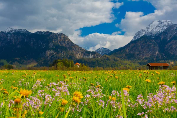 Όμορφη Θέα Του Παγκοσμίου Φήμης Κάστρου Neuschwanstein Παλάτι Romanesque Revival — Φωτογραφία Αρχείου