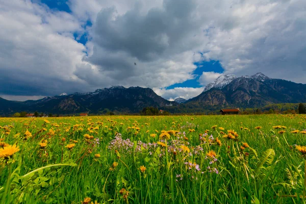 Όμορφη Θέα Του Παγκοσμίου Φήμης Κάστρου Neuschwanstein Παλάτι Romanesque Revival — Φωτογραφία Αρχείου