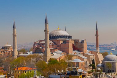 Havadan Ayasofya ve Sultanahmet Meydanı ve güzel lale çiçekleri
