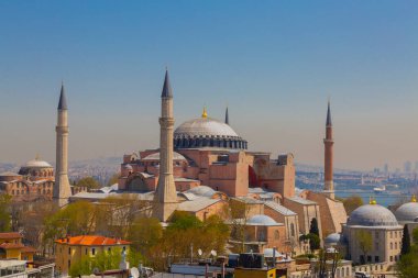 Havadan Ayasofya ve Sultanahmet Meydanı ve güzel lale çiçekleri