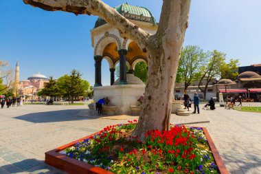 Havadan Ayasofya ve Sultanahmet Meydanı ve güzel lale çiçekleri