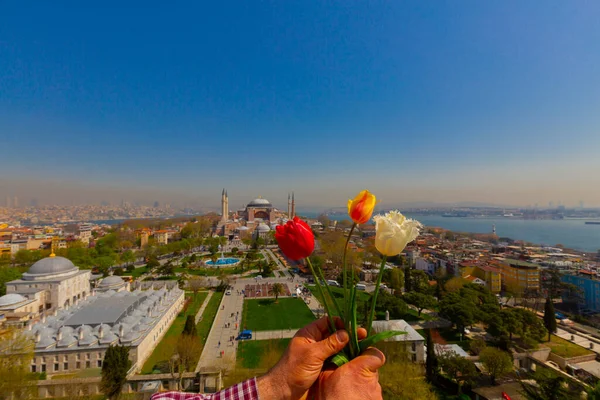 Aerial Hagia Sophia Sultanahmet Cuadrados Hermosas Flores Tulipán — Foto de Stock