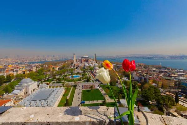 Luftaufnahme Hagia Sophia Und Sultanahmet Platz Und Schöne Tulpenblumen — Stockfoto