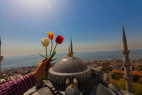 Luftaufnahme Hagia Sophia Und Sultanahmet Platz Und Schöne Tulpenblumen — Stockfoto