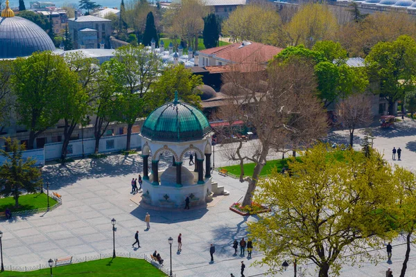 Воздушная Площадь Святой Софии Султанахмет Красивые Цветы Тюльпан — стоковое фото