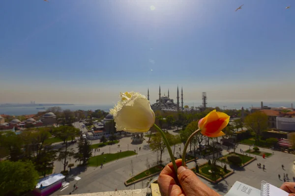 Luftaufnahme Hagia Sophia Und Sultanahmet Platz Und Schöne Tulpenblumen — Stockfoto
